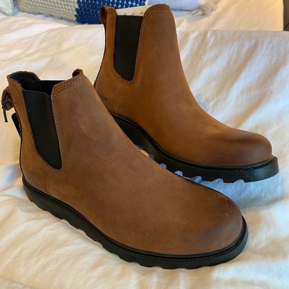 sorel ainsley chelsea